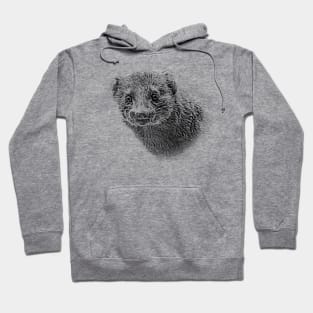 Dwarf mongoose Hoodie